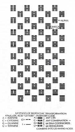 I Ching as description of Genetic Code (diagram from "Earth Ascending" Jose Arguelles.